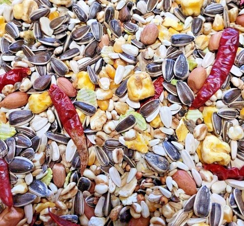 Parrot food johnston - no,