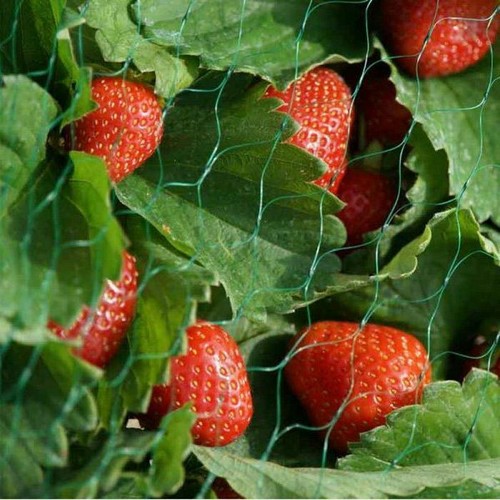 Smart garden - smart,