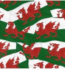 Wales Welsh Flag Dragon