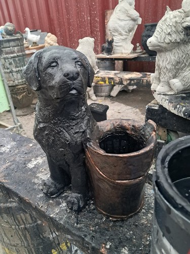 Labrador and planter latex - labrador,