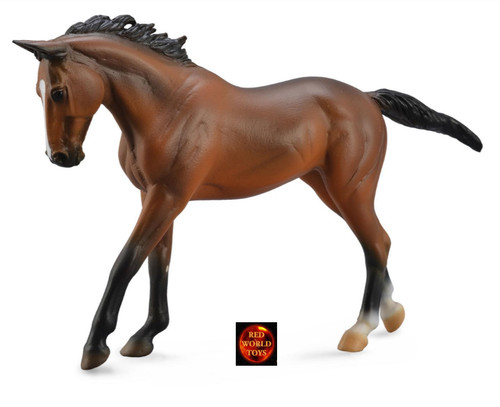 Collecta thoroughbred bay mare - thoroughbred,