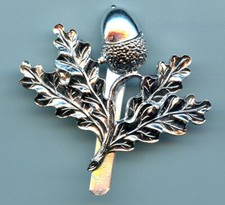 South Nottinghamshire Hussars