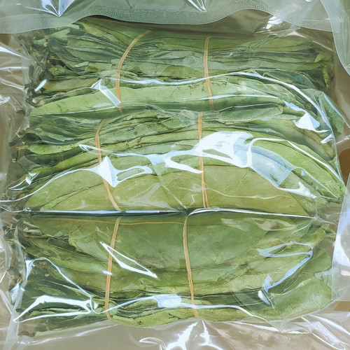 Dried soursop leaves organic - dried,