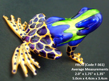 Beautiful GLASS FROG Shiny