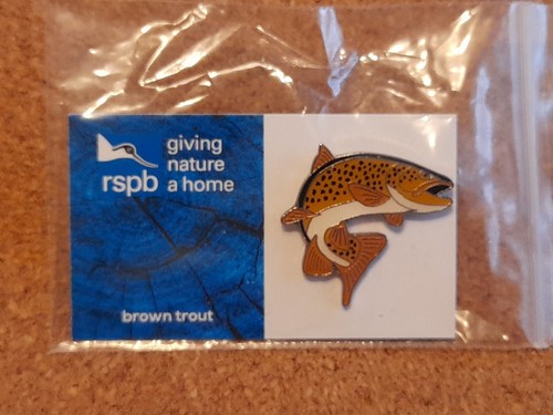 Rspb brown trout gnah blue - trout,