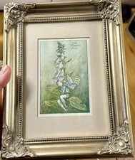 Vintage cicely mary - vintage, barker