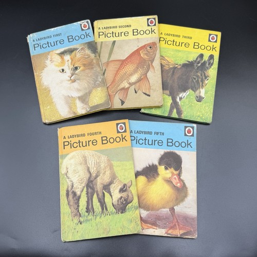 Vintage ladybird first - ladybird,
