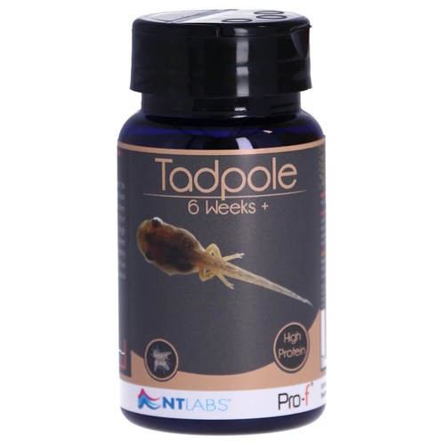 Labs tadpole food 50g late - food,