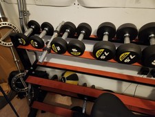 black bull dumbells 