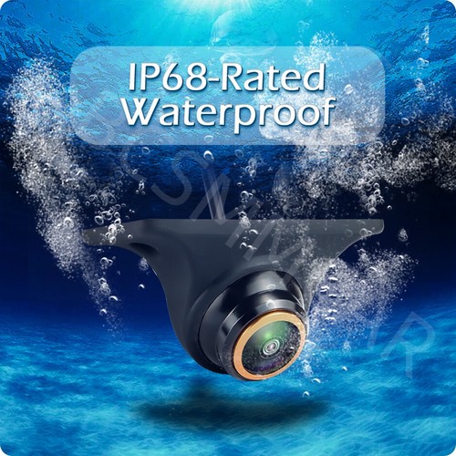 Vehicle backup camera - vehicle,