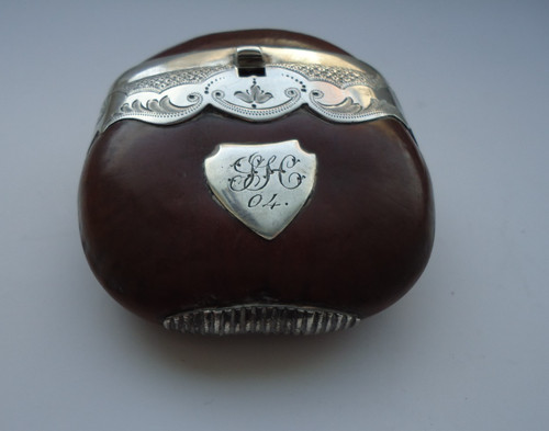 Antique australian burra nut - antique,
