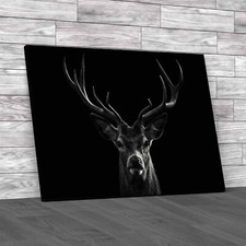 The Deer Head Stag Buck Black