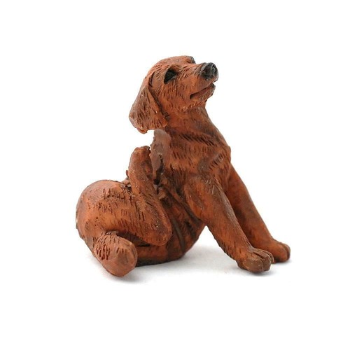 Dolls house chocolate labrador - house,