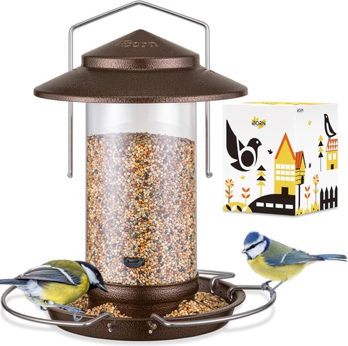 Bird feeder squirrel proof - bird,