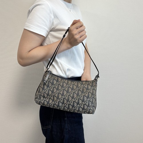 Vintage christian dior - christian, trotter