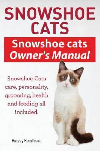 Snowshoe cats - snowshoe,