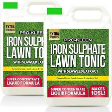 ProKleen Iron Sulphate Liquid