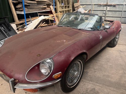 Jaguar type v12 roadster - v12,
