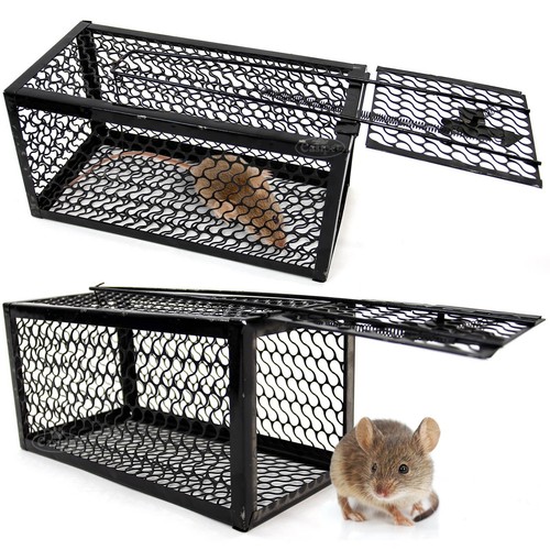Rat trap mouse catcher - x2,
