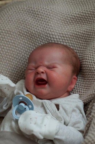 19inch reborn doll - reborn, maria