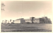 863211) Photo postcard Buma