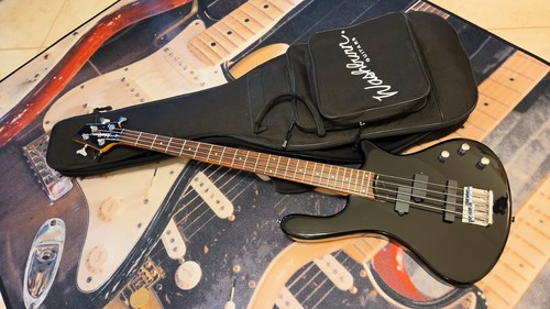Washburn taurus t14 - washburn,
