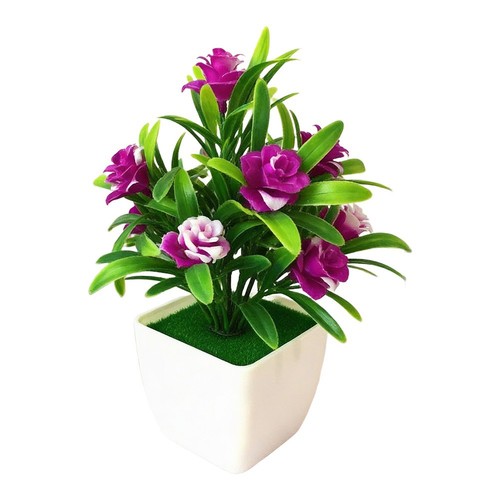Simple care plastic - care,