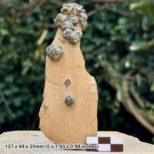 Rare rainbow pyrite supat - rare,