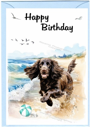 Cocker spaniel dog - (working),