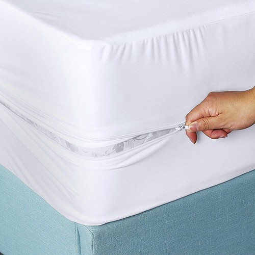 Bed bug matress - bug,