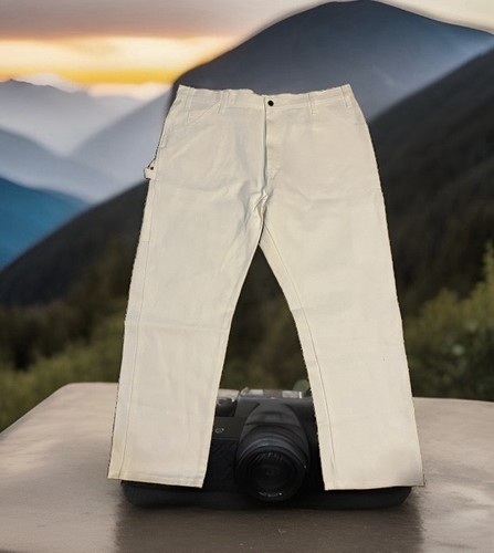 Dickies professional painters - dickies,