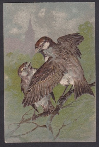 Vintage embossed postcard two - postcard,