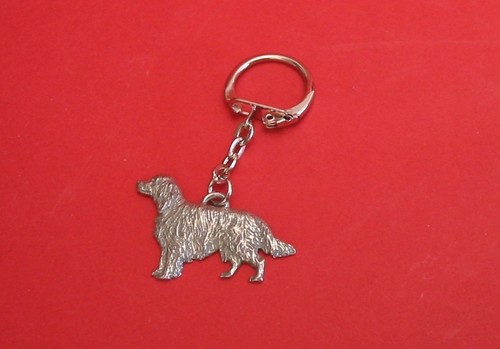 Irish setter pewter - setter,