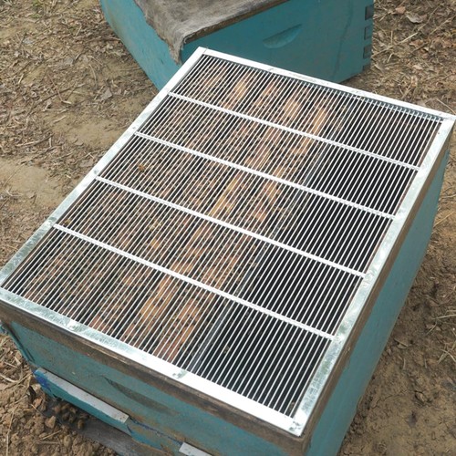 Queen excluder beekeeping - excluder,