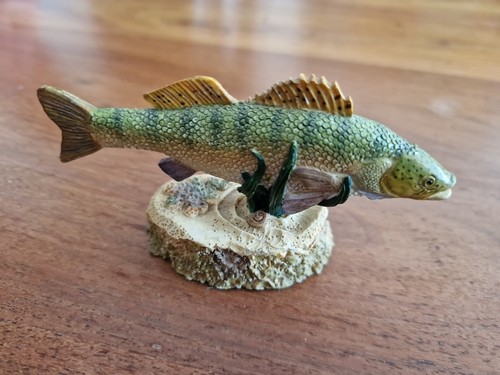 Zander the anglers - zander,