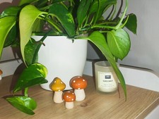 Handmade Seasonal Nature