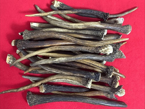 1kg deer antler - 1kg, of