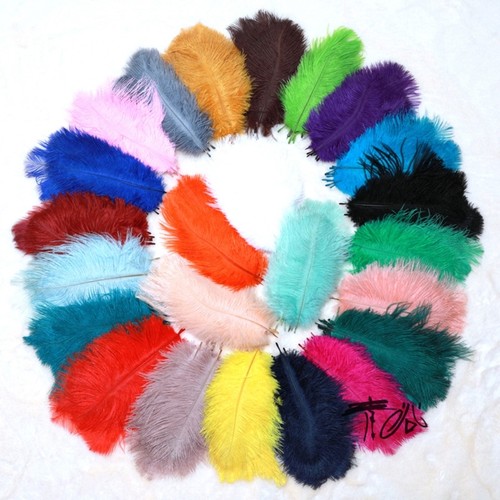 Stage feathered folding fan - stage,