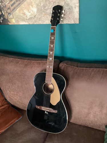 Fender tim armstrong - :,