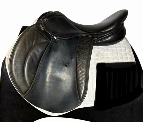 Pony cob horse - horse, gp