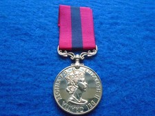 ERII DCM, DISTINGUISHED