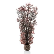BiOrb Crimson Sea Fan - Medium