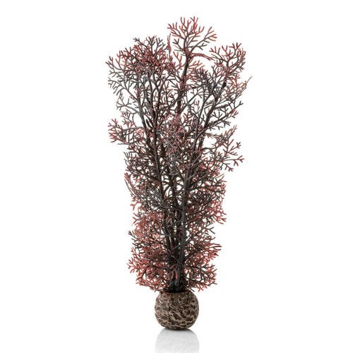 Biorb crimson sea fan medium - crimson,