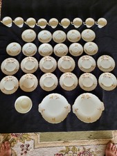 35 Piece Rare  Bavarian