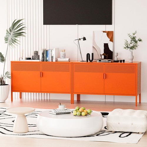 Door metal storage cabinet - metal,