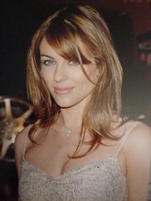 Elizabeth Hurley (Beautiful English Actress) 8" x 10" Photo Print