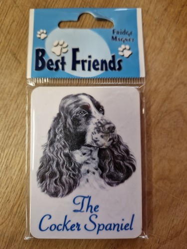 Cocker spaniel magnet - cocker,