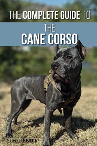 The complete guide - the, cane