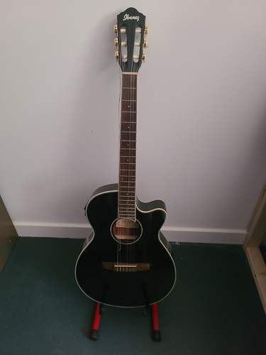 Ibanez aeg10nii nylon string - ibanez,