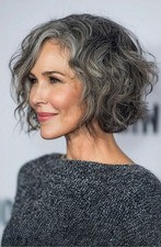 Balayage Salt and Pepper Highlight Short Wave 100% Human Hair Lace Front Wigs